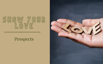 Show Your Love – Prospects